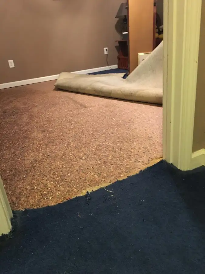 Carpet pad removal revealing water damage during Water Mitigation Services in Valley Park