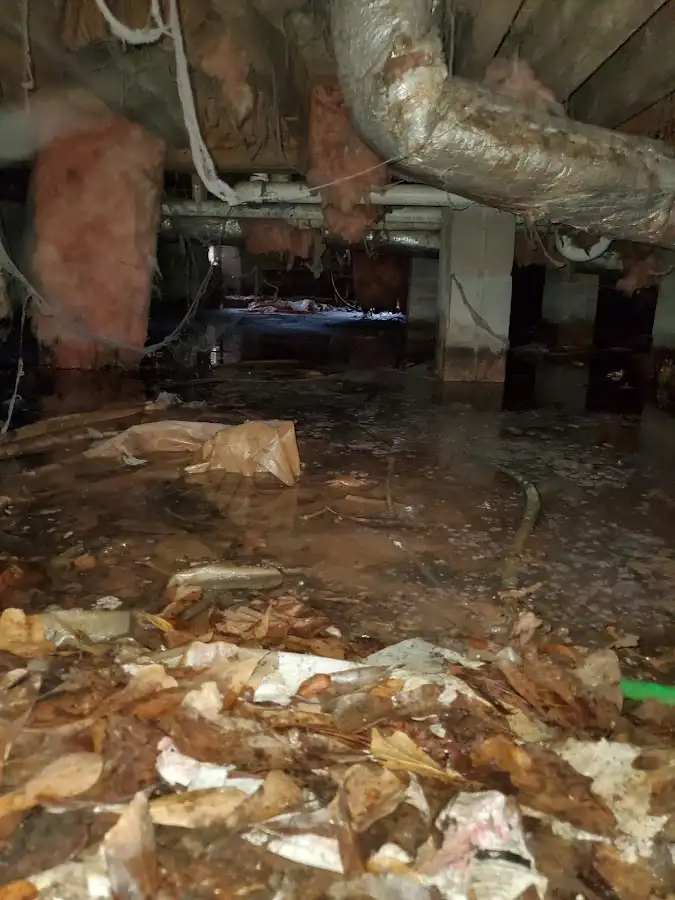 Crawl space flood assessment for Leak Detection & Repair in Valley Park