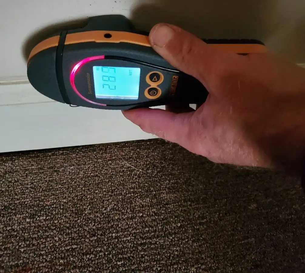 Moisture detection at baseboard during Storm Damage Restoration in Valley Park